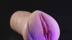 PUSSYX